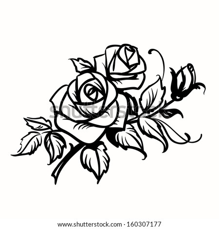 Roses. Black outline drawing on white background 