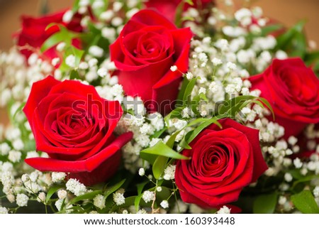 Nice roses in celebration concept