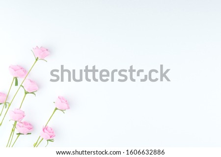 Pink roses over a flat lay background design that can be used for Valentines Day or valentine's day