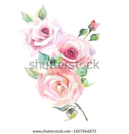 flowers branch with watercolor roses.