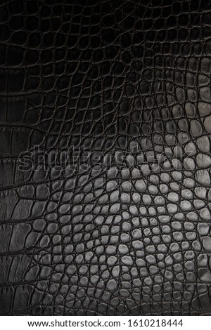 Black crocodile skin, background, texture.