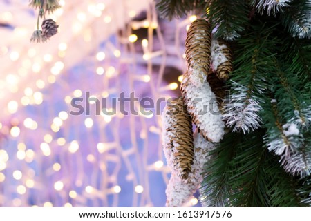 Closeup of pine cones for Christmas, snow and blur lights background, copy space