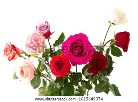 Beautiful rose bouquet isolated on a white background.