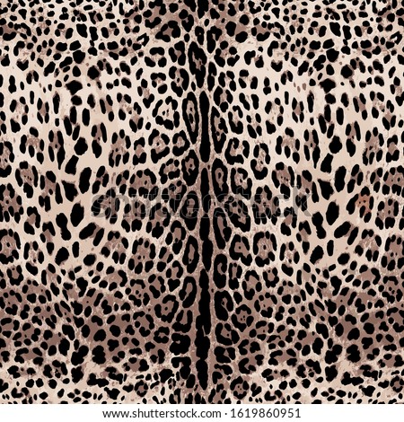Leopard texture, african animal prints
