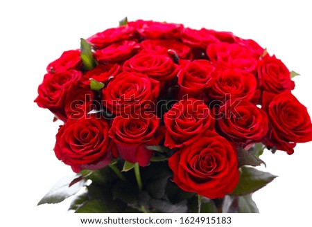 Bouquet of red roses. Gift. 25 fresh flowers. Postcard. March 8. Valentines Day.