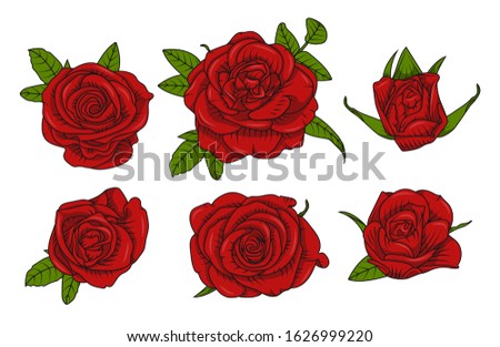 Set of outline red roses with leaves on a white background