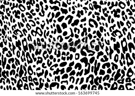 vector of seamless leopard  skin pattern