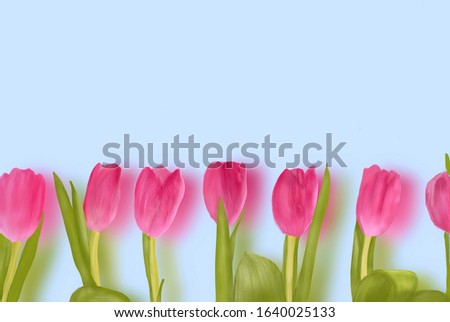 Beautiful pink tulips on a pastel blue background with Kopi space. Illustration drawing, Procreate program. Spring, flowers concept