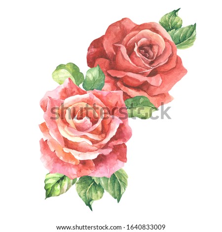 two red roses with leaves.watercolor