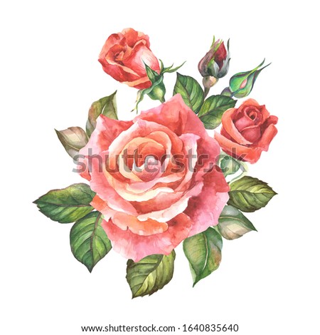 watercolor red rose with buds and leaves.