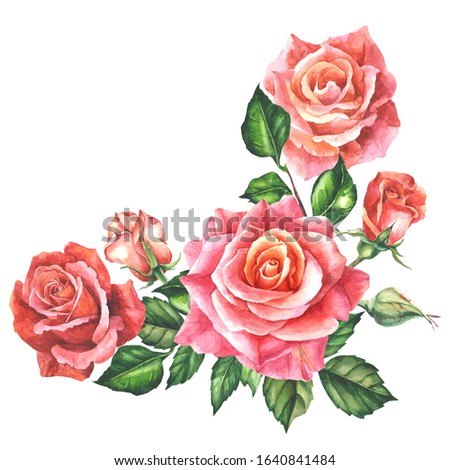 roses corner with buds and leaves.watercolor
