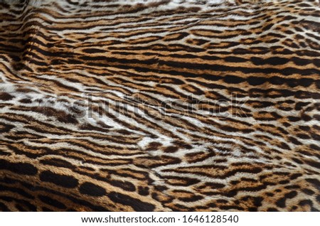 beautiful leopard fur background texture