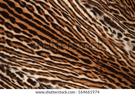 leopard fur texture background