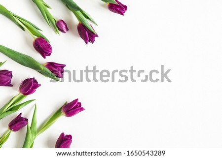 Flowers composition. Tulip flowers on white background. Spring concept. Flat lay, top view, copy space