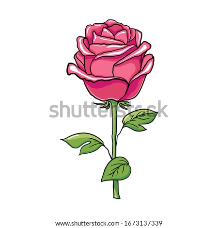 Single beautiful pink rose realistic vector illustration isolated on white background. Realistic image of open pink rose, symbol of love, decoration element.