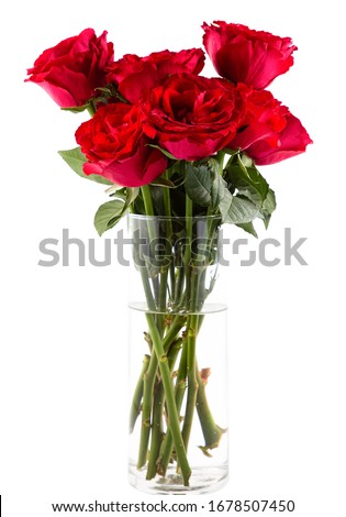 Rose-red flower in vase isolated for valentine's day or wedding on white background
