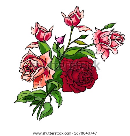 Pink, red roses flowers design element