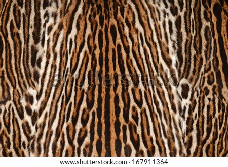 leopard fur  texture