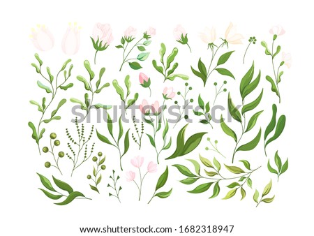 Plant elements of flowers, herbs, and leaves. Botanical set of flower elements , plants and flowers for design. Wild and garden foliage branches grass illustration isolated on white.Vector