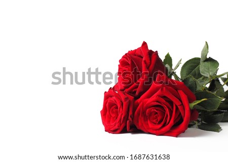 Bouquet of three red roses on a white background, copy space, close-up, isolate.