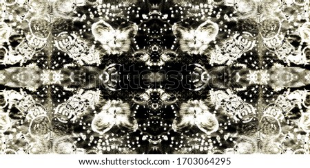Aztec Pattern Seamless. Luxury Ethnic Mandala Ornament. Sun Ethnic Triangle. Gray Pakistan Artwork. Gray Seamless Floral Ethnic. Black Ethnic Flower.
