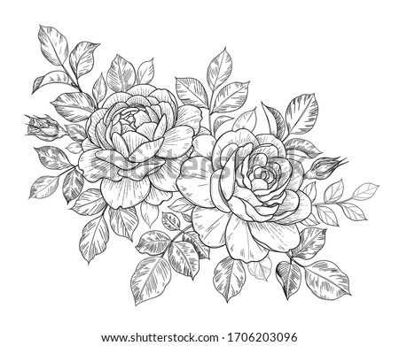 Hand drawn rose flowers, buds and leaves bunch isolated on white. Vector line art monochrome elegant floral composition in vintage style, t-shirt, tattoo design, coloring page, wedding decoration. 