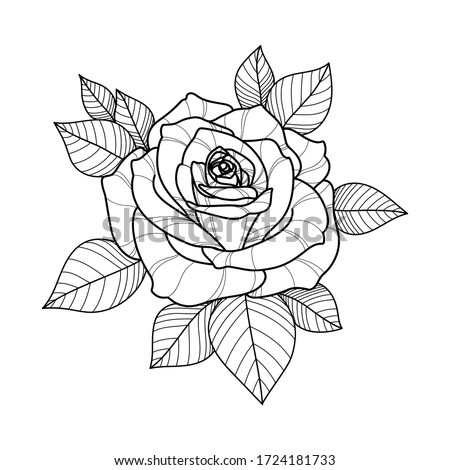 Hand drawing rose flower for greeting card, invitation, Henna drawing and tattoo template. Rose tattoo. Vector illustration
