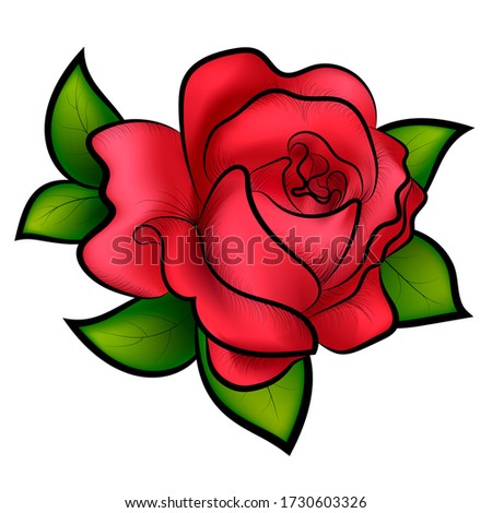 Colored rose on a white background.Red rose with green leaves on a white background.