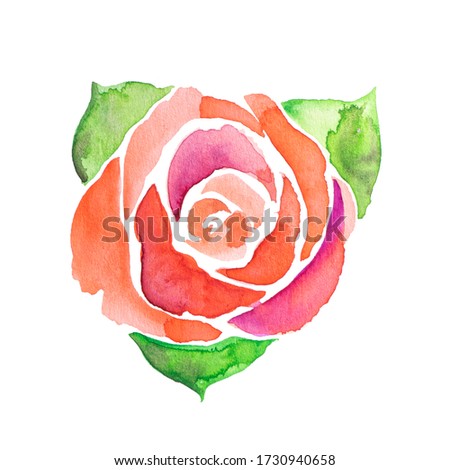 Watercolor rose on white background. Clipping path. Not digitally make