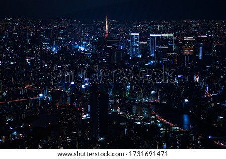 Beautiful blue cityscape of Tokyo with Tokyo tower view