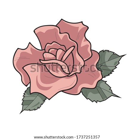 
Vector flower, rose illustration, simple graphic