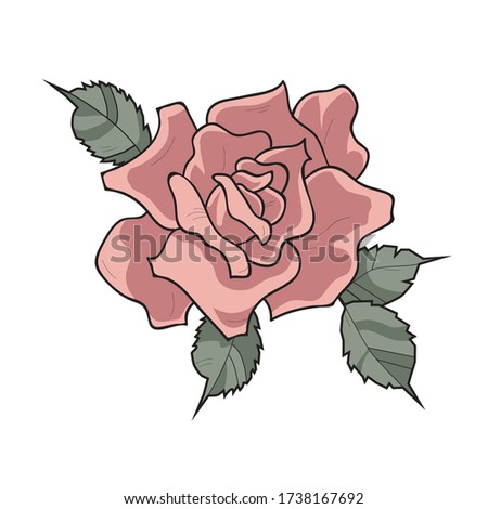 Rose illustration, vector flower simple graphic