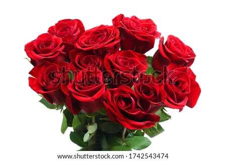 fresh red roses in a bouquet isolated on white background     