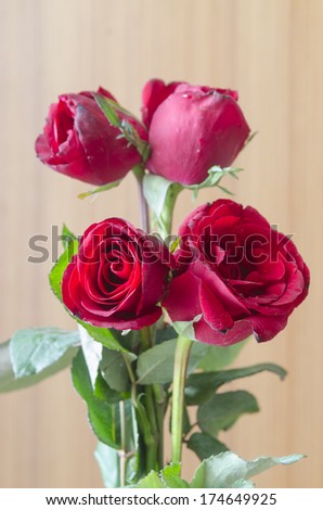 Red roses for Valentine's Day.