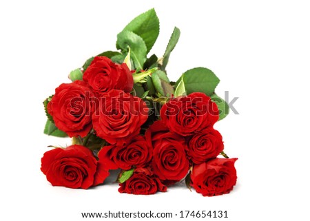 A bunch of scarlet roses over white background