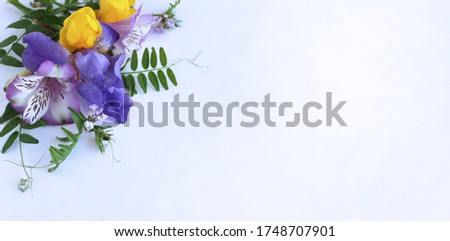 Bright spring flower arrangement. Lilac Alstroemeria and Irises, as well as yellow flowers of trolius europaeus on a white background. Bright light colors. 