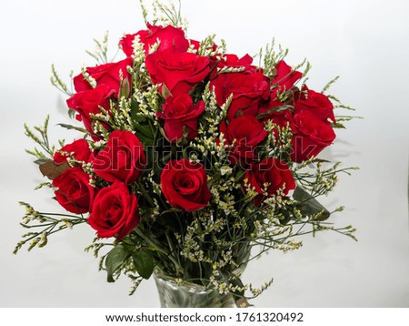 Top view red rose bush white background