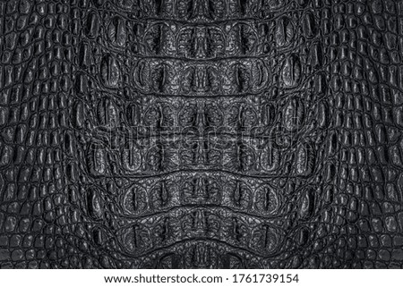 Black crocodile leather texture for background
