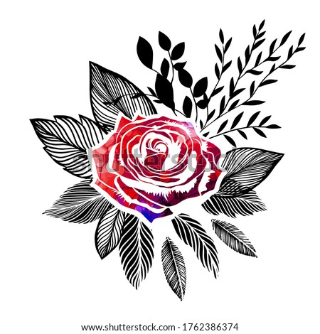 A beautiful picturesque rose with graphic black leaves. Vector illustration