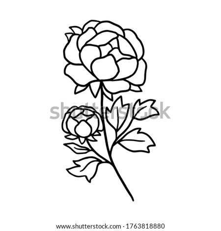 Hand drawn monochrome peony flower element for wedding invitation, logo, symbol, greeting cards, botanical icon, or banner. Summer, spring, and autumn botany element