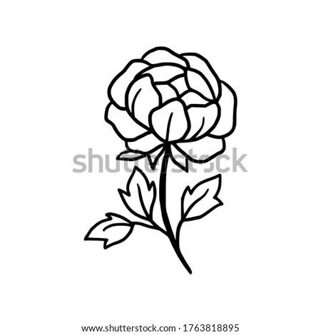 Hand drawn monochrome peony flower element for wedding invitation, logo, symbol, greeting cards, botanical icon, or banner. Summer, spring, and autumn botany element
