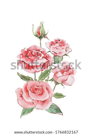 Bouquet of pink roses with buds and green leaves. Watercolor on a white background for the design of cards, wedding invitations, print, background, textile, wrapping, packaging.