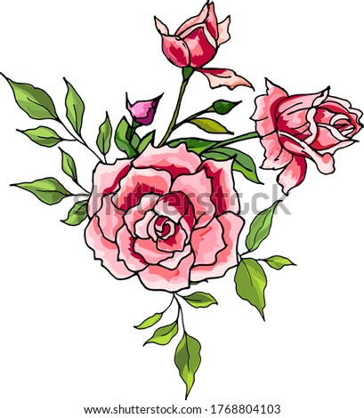 Roses bouquet pink with Bud and leaves design element