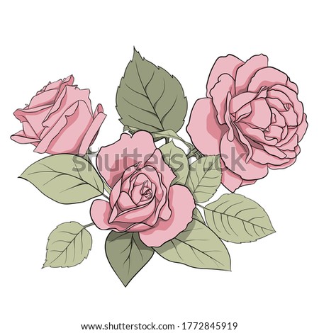 Vector composition of delicate pink roses and green leaves. Illustration for creating cards, decoration, decoration, prints, wedding invitations, etc.