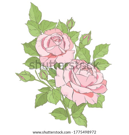 branch with delicate pink roses