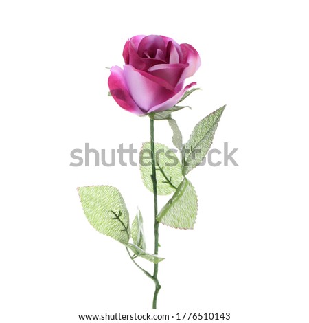  A branch of a rose with the head of an unopened flower.