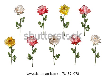 Floral set of beautiful flowers roses  on stem, green leaves. Isolated on white. Hand drawn. For the design greeting cards,wedding invitation, valentines day. Vector stock illustration.