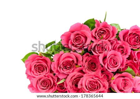 Fresh roses on white background 