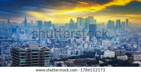 Amazing cityscape of Tokyo metropolis at sunset, Japan