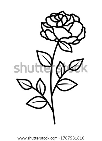 Peony rose flower line design element, black white, vector illustration